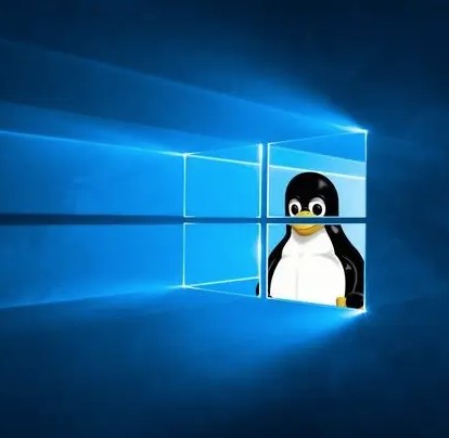 linux windows